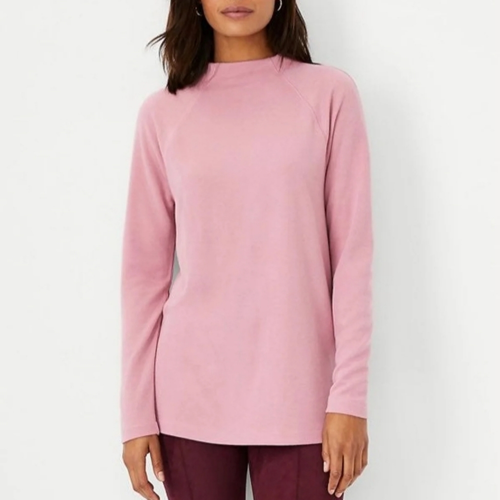 NWT Raglan sleeve tunic top